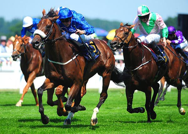 Rajasinghe