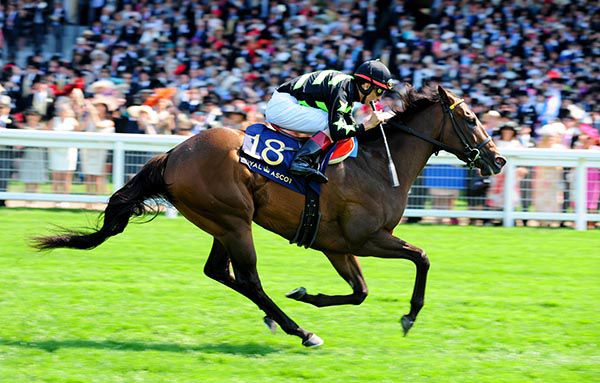 Lady Aurelia