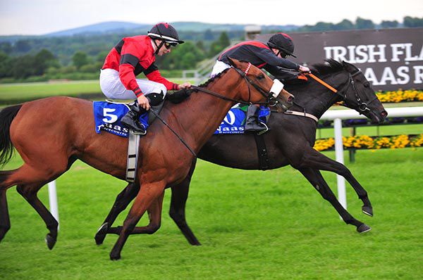 You Gotta Move beats Rose Anjou