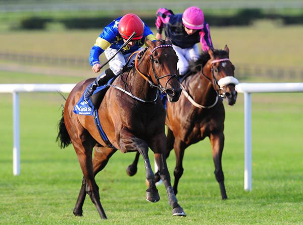 Rise Again and Chris Hayes