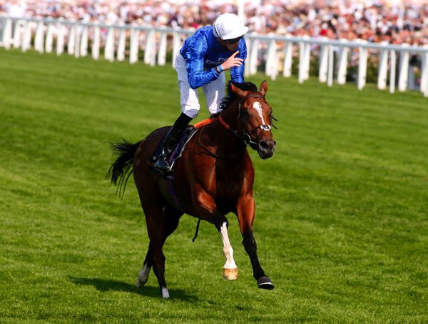 Barney Roy