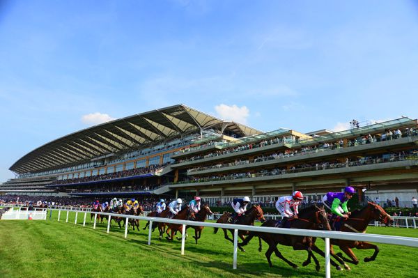 Ascot