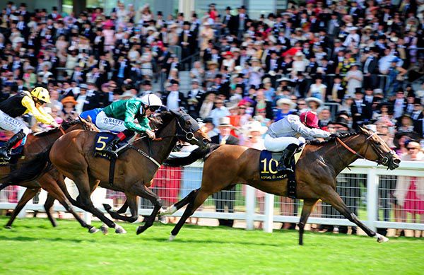 Qemah (Gregory Benoist) wins the Duke Of Cambridge
