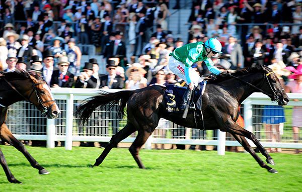 Con Te Partiro (Jamie Spencer) wins the Sandringham Handicap