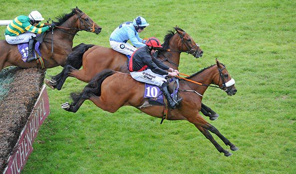 Peregrine Run (nearside) and Roger Loughran lead two out