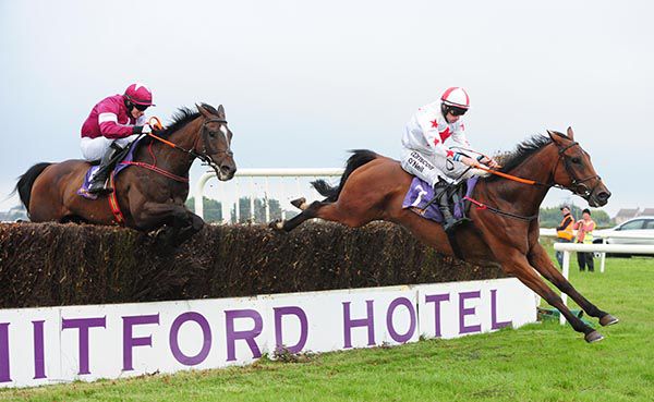 Mullinavat leads stablemate Archive over the last