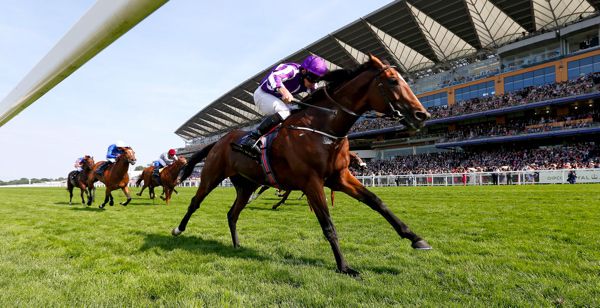 Highland Reel