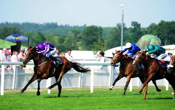 Highland Reel