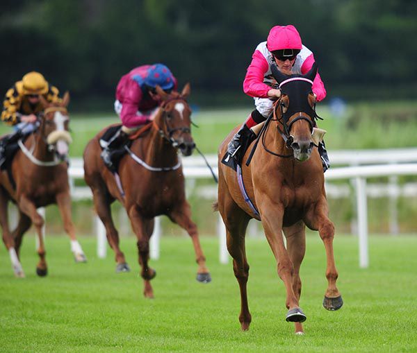 Xenobia and Chris Hayes