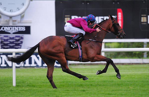 Conor Hoban & Eight And Bob