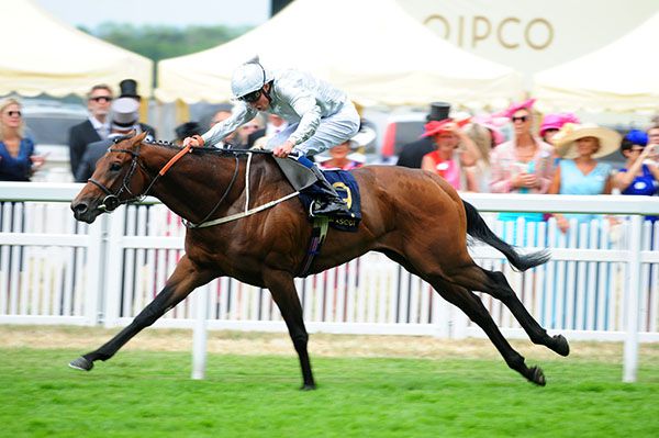 Permian and William Buick