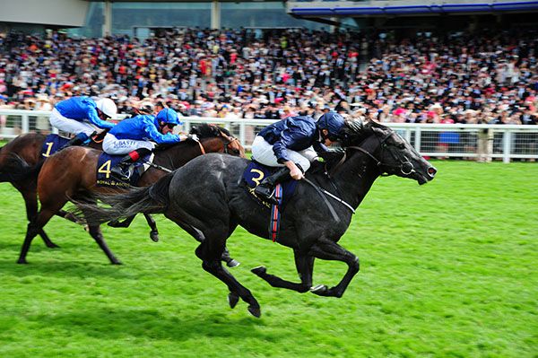Caravaggio and Ryan Moore land the Commonwealth Cup spoils