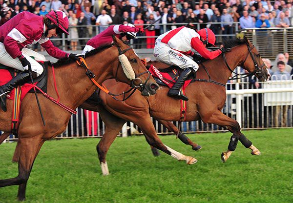 Sandymount Duke just holds off Net D'Ecosse (inside) with Devils Bride (nearest) back in third