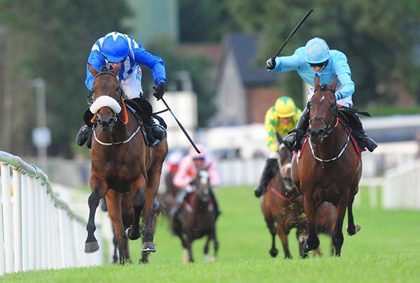 Laoch Liam (noseband) is ridden out by Katie Walsh to beat Tadhgs Girl 