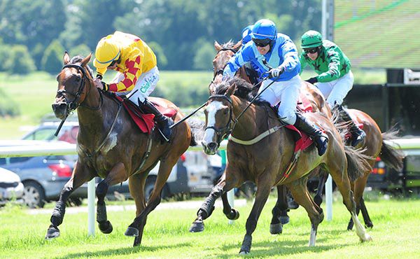 Brogine (Lenny Flynn) beating Lakemilan (left) in the mares maiden hurdle