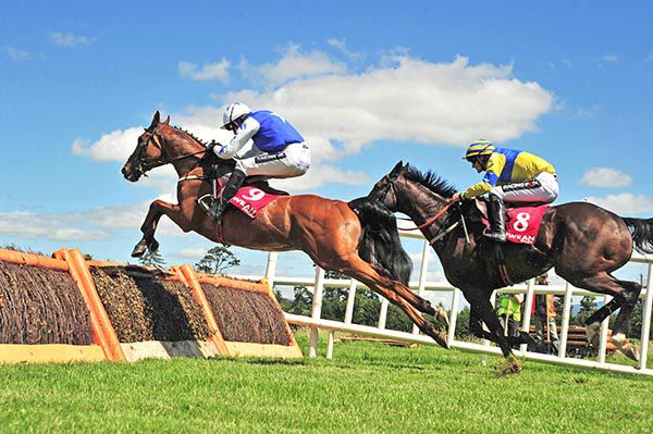 Madurai and Ruby Walsh leap the last