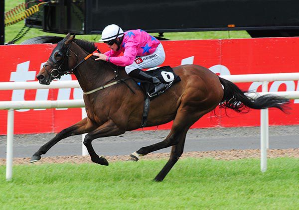 Missguided and Leigh Roche