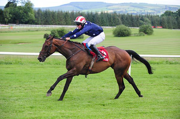 Mcgroarty and Paul Power winning the bumper