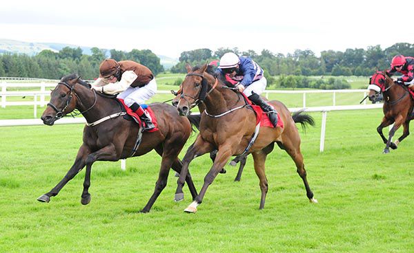 Dandys Gold is ridden out by Dylan Hogan to beat Magwadiri