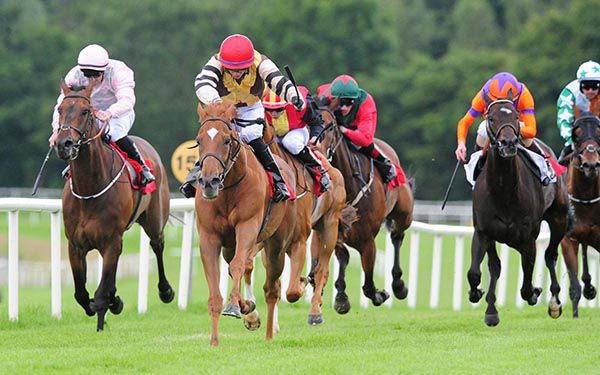 Not A Bad Oul Day (red cap) is ridden out by David Simmonson