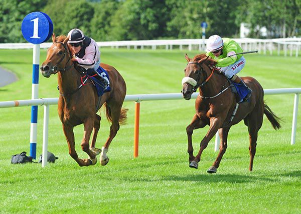 All The Mollies (noseband) and Killian Leonard come to tackle eventual third Sonic Wind