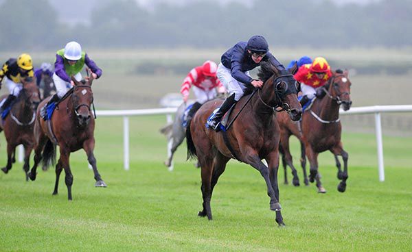 Key To My Heart is pushed out by Donnacha O'Brien