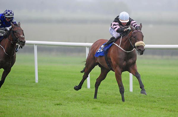 Claregate Street is pushed out by Shane Foley