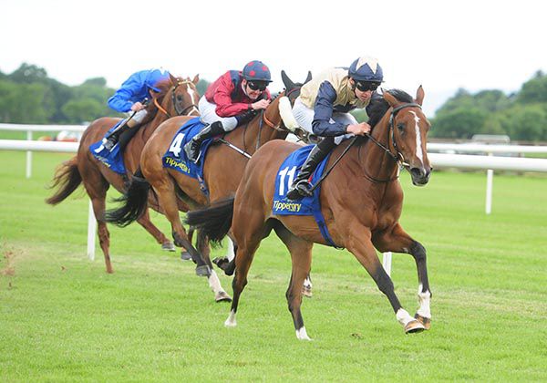 Ruby Shoes leads home her rivals under Donnacha O'Brien