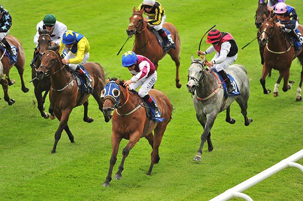 Enter The Red, blinkers, fends them off in the Curragh 