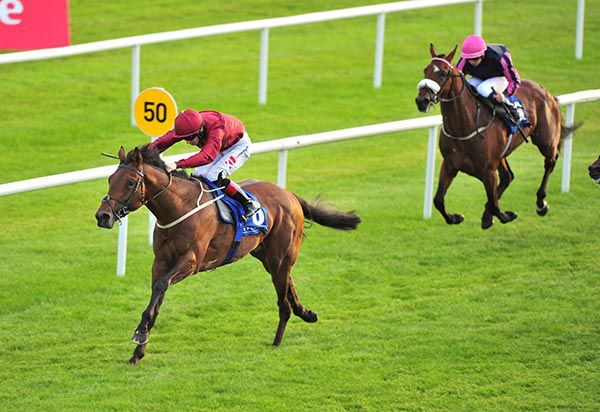 Cannonball in dominant form at the Curragh