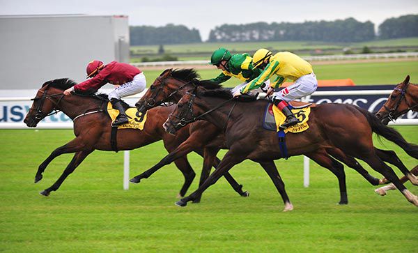 True Valour winning under Shane Foley