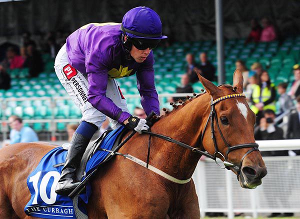 Three Kingdoms and Leigh Roche