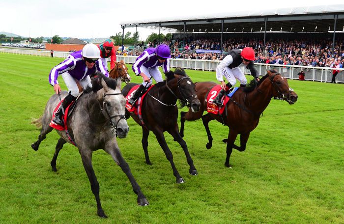 Capri (nearside)