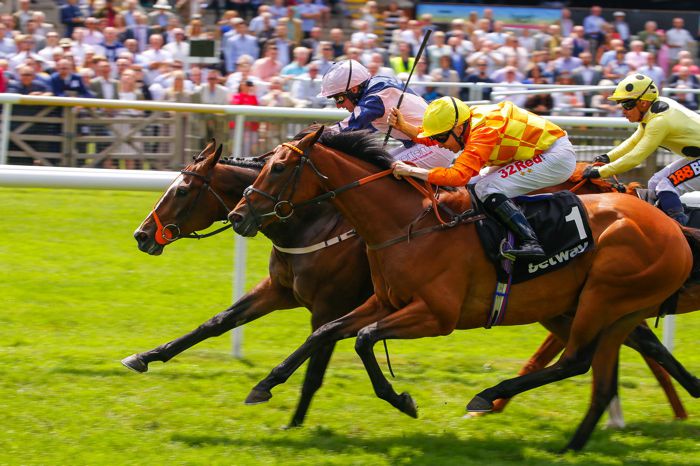 Lord Yeats (far side) just beating Second Step at Newmarket last year