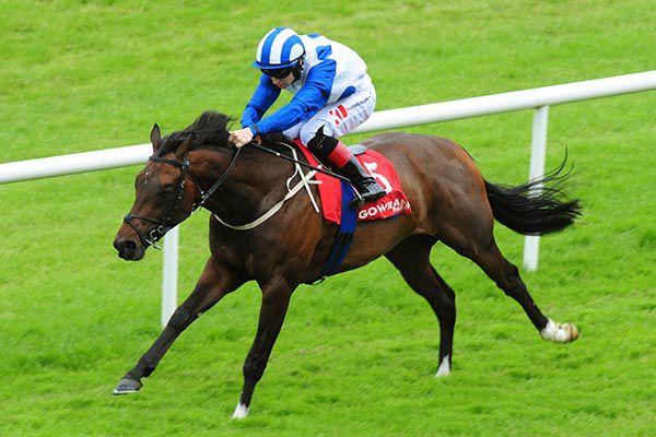 Masucci is pushed out by Colin Keane