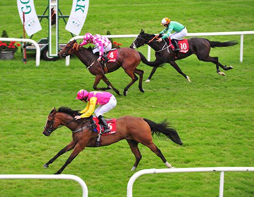 Fascinating Lady (nearest) leads home Nothing To Lose and Goodnite Irina