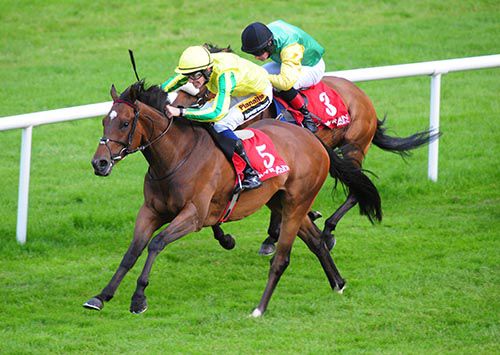 Hasselnott and Donagh O'Connor pictured on their way to victory