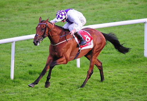 Level Of Intensity is ridden out by Kevin Manning