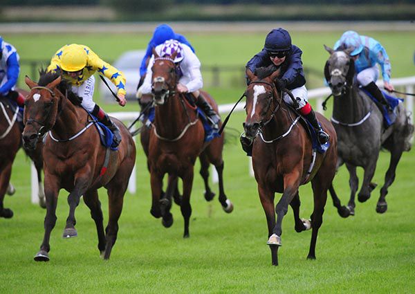 Wild Irish Rose (second from right)