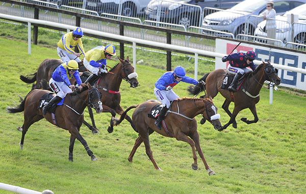 The Rite Article, blue cap and noseband, approaches the line in Bellewstown