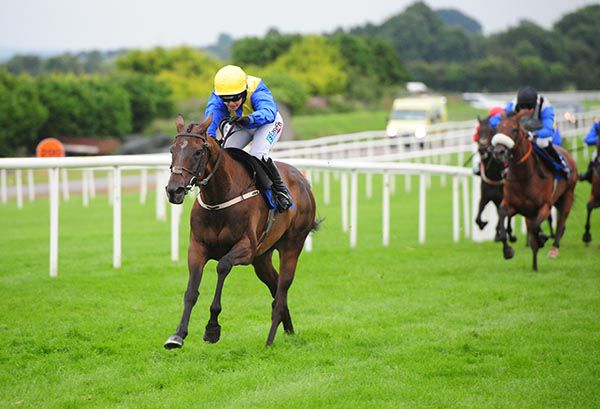 Vittorio comes home clear of the opposition in Roscommon