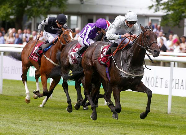 Cardsharp wins under James Doyle