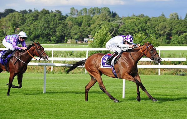 Fior Cliste and Kevin Manning winning at Leopardstown