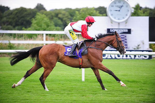 Sandymount Duke and Kate Harrington