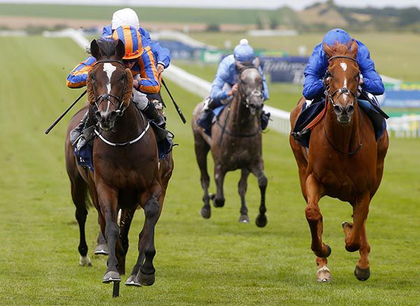 Roly Poly (left)