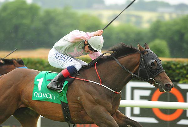 He's Complete is ridden out by Chris Hayes