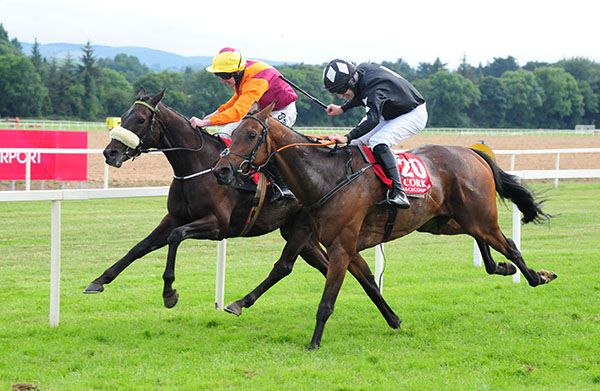 Mr Champers and Roger Loughran (far) beat Silent Sun 