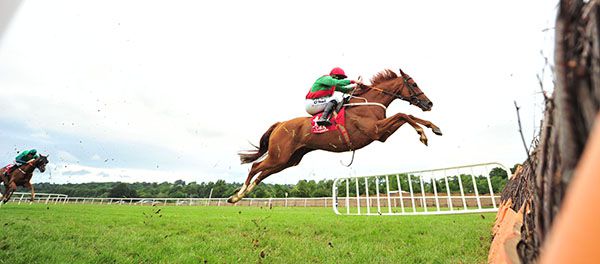 Rashaan and Sean Flanagan take off before a hurdle
