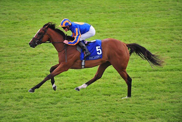 Actress heads for home in the Curragh