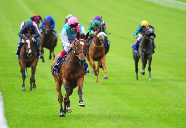 Enable 